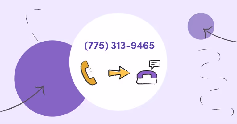 Porting Phone Number vs. Hosted Number | How to Port Numbers